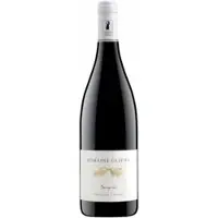 Domaine Olivier Bourgueil - Cuvée Vieilles Vignes 2022 -