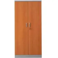 Proregal Aktenschrank Beetle | HxBxT 195x92x42 cm | Silber-Erle