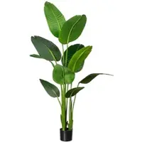 Creativ Green Künstliche Pflanze Strelitzia nicolai 160cm im Topf