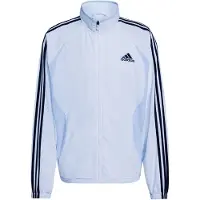 Adidas Sweatshirt adicolor Teamgeist KD5857 Himmelblau Loose Fit