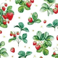 Home Fashion , Strawberry Pattern, Cocktail-Servietten aufgefaltetes Maß 25 cm x 25 cm, im Viertelfalz, 20 Stück pro Pack, 12 Pack pro Karton