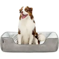 Lionto Hundebett – 2-in-1 Wendekörbchen, weich gepolstert & pflegeleicht, mit tiefem Einstieg, 110x80 cm, hellgrau/dunkelgrau