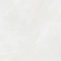 Rako Fly Feinsteinzeug-Fliese mist 60x60 cm matt DAK62882.1