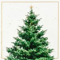 Home Fashion , Fir Tree, Lunch-Servietten aufgefaltetes Maß 33 cm x 33 cm, im Viertelfalz, 20 Stück pro Pack, 12 Pack pro Karton