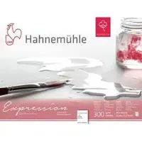 Hahnemuhle Aquarellpapier Expression Aquarell, 30 x 40 cm, 300 g/m2, naturweiß, geleimt, 20 Blatt