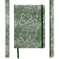 Clairefontaine 4x Céleste, Notizbuch A5 mit festem Einband aus Leder, 72 Blatt 90g liniert, Lazer grün + silber - 400122C