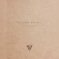 Clairefontaine 5x Flying Spirit, Skizzenheft 16x21 cm, Fadenbindung, 60 Blatt 90g - Kraft braun 930022C
