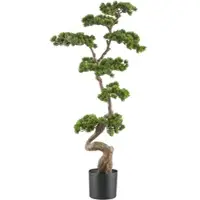 P&b Kunstpflanze Bonsai Grün