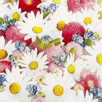 Home Fashion , Flower Carpet, Lunch-Servietten aufgefaltetes Maß 33 cm x 33 cm, im Viertelfalz, 20 Stück pro Pack, 12 Pack pro Karton