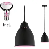 Paulmann Pendelleuchte Bundle Neordic Hilla
