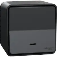 Schneider Electric Mureva Styl - Leuchtdrucktaster mit LED - Aufputz - IP55 - IK08 - grau - - MUR35028