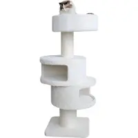 Nobby Kratzbaum Volta cream