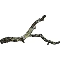 HOBBY Terraristik Kork Tronchos L, Fingerwurzeln, Holz, 1 Stück(e), 1000 mm