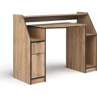 Vicco Gaming-Tisch Joel Goldkraft Eiche 123.2 x 45 cm mit 1 Schublade und 1 Tür, Model 41595
