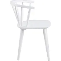 Ebuy24 Ida Esszimmerstuhl Holz weiß.