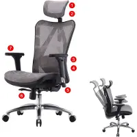 Sihoo Bürostuhl Schreibtischstuhl, ergonomisch, verstellbare Armlehne, 150kg belastbar Bezug grau, Gestell schwarz