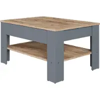 Vicco Couchtisch Milan Anthrazit/Goldkraft Eiche 92.2 x 65 cm, Model 54384