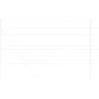 Syfax Wildzaun Feuerverzinkt 1000 x 120 x 0,18 cm Eisen