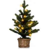 Costway 48cm Kleiner Weihnachtsbaum, beleuchteter Mini Weihnachtsbaum, 20 LEDs in Warmweiß, Tannenbaum mit Weidenholztopf & Timer, Christbaum