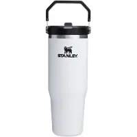 Stanley IceFlow Flip Straw 2.0 Tumbler Thermosflasche aus rostfreiem Stahl Chalk 1 St.