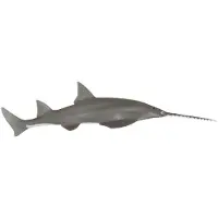 Papo Sägefisch, 3 Jahr(e), Marine life, Grau, PVC