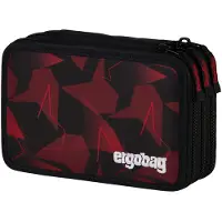 Ergobag Maxi Mäppchen UnaufhaltBär