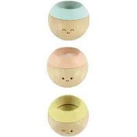 PlanToys Motorikkugeln - Pastel - - One Size - Motorik Tiere