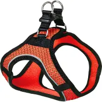 Nobby Geschirr "MESH AIR" orange XS-S Brust: 30-35 cm, Bauch: 30-36 cm