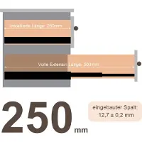 HENGDA 2X Schubladenschienen Vollauszuege 250 mm Schubladen Fuehrung kugelgelagert Tragkraft 35 Kg