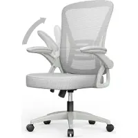 Bigzzia Bürostuhl – Ergonomischer Sitz – Sessel mit 90° klappbarer Armlehne – Lordosenstütze – höhenverstellbar - Grau