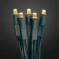 Hellum Lichterkette-LED Mini Innen klar 30tlg; 563313
