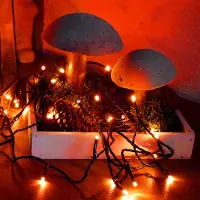 Hellum Lichterkette Deko Beleuchtung 80 LED bernstein Außen Outdoor Timer Garten Party