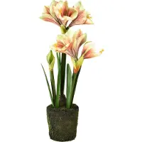 Viana 45cm Amaryllis Kunstblume mit rosa-gelben Blüten im Moosballen – Pflegeleichte Deko für Zuhause und Büro