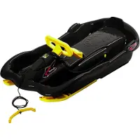 Alpengaudi Ski-Bob Space
