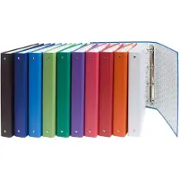 Exacompta Ringbuch