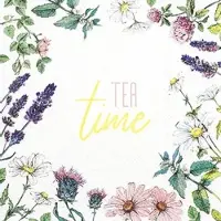 Home Fashion , Tea Time, Cocktail-Servietten aufgefaltetes Maß 25 cm x 25 cm, im Viertelfalz, 20 Stück pro Pack, 12 Pack pro Karton