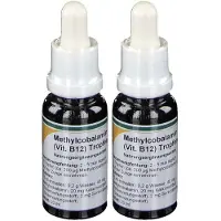 Reinhildis-Apotheke Methylcobalamin Vitamin B12 Tropfen 2x 2x20 ml