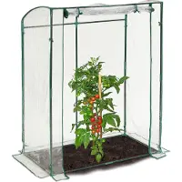 Relaxdays Tomatengewächshaus, PVC-Folie, HBT: 170 x 130 x 75 cm, begehbares Foliengewächshaus mit Tür, transparent/grün