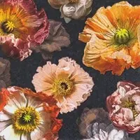 Home Fashion , Papaver, Lunch-Servietten aufgefaltetes Maß 33 cm x 33 cm, im Viertelfalz, 20 Stück pro Pack, 12 Pack pro Karton