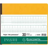 Exacompta 16300E Geschäftsbuch 30Sp 27x32 80Bl - Farben sortiert