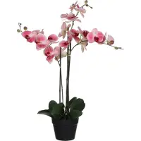 Mica Decorations Mica Kunstpflanze Phalaenopsis im Topf rosa, 75 x 51 x 79 cm GLO660754634