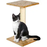 Magic Cat Ruheplatz Beata beige 38x38x60cm
