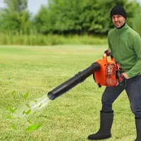 StarTech.com Laubbläser - Handgerät - Elektrisch - Ohne Akku - Handgehalten - Für Garten und Hof