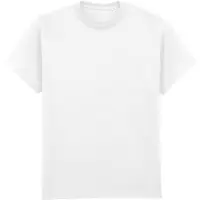 Gildan Ultra Cotton Adult Prepared for Dye T-Shirt