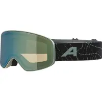 Alpina Skibrille Fernie Q-Lite Kinder Willow/Green Matt