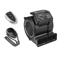 Vacmaster Ventilatoren Cardio54 Gym Bodenventilator mit Fernbedienung Fahrradlüfter Lautlos Lüfter AM1202R