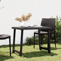 The Living Store Campingtisch Anthrazit 79x56x64 cm PP Holzoptik