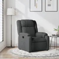 vidaXL Design Möbel Relaxsessel Dunkelgrau Stoff - 2024 Neu