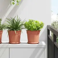 Prolenta Maison Exclusive - Blumentöpfe 24 pcs Ziegelrot Ø 19 x 16 cm Kunststoff
