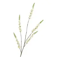 DK Design Dekozweig "Campanula" in Weiß/ Grün - (H)146 cm - onesize